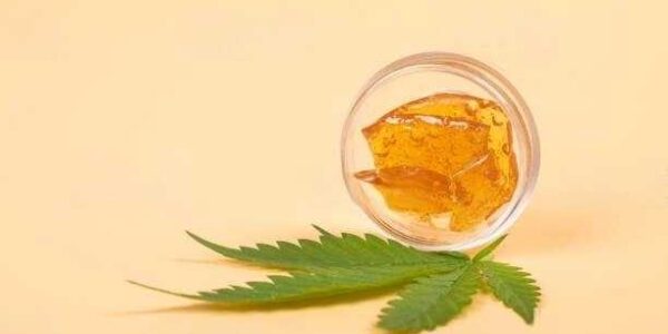 guide to cannabis shatter