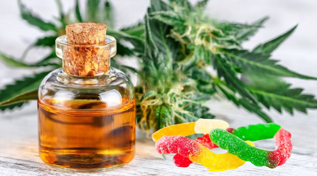 CBD Oil vs CBD Gummies: Which is More Effective at Relieving Anxiety