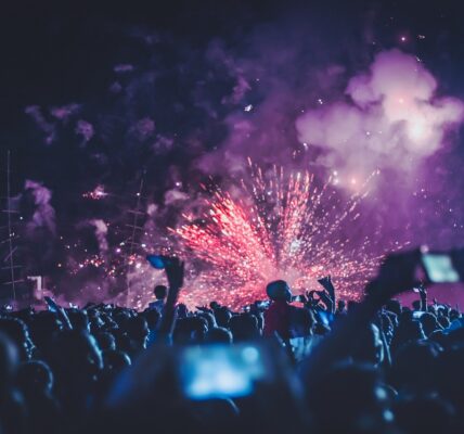 festival security