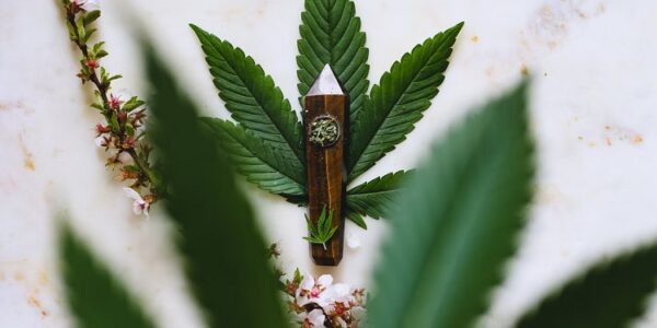 $50 Ounces