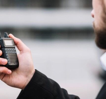 Private Security in Public Events