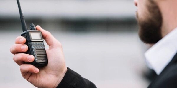Private Security in Public Events