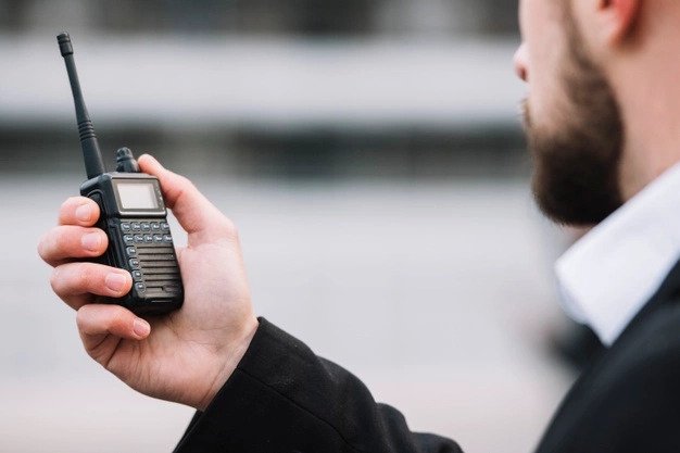 Private Security in Public Events