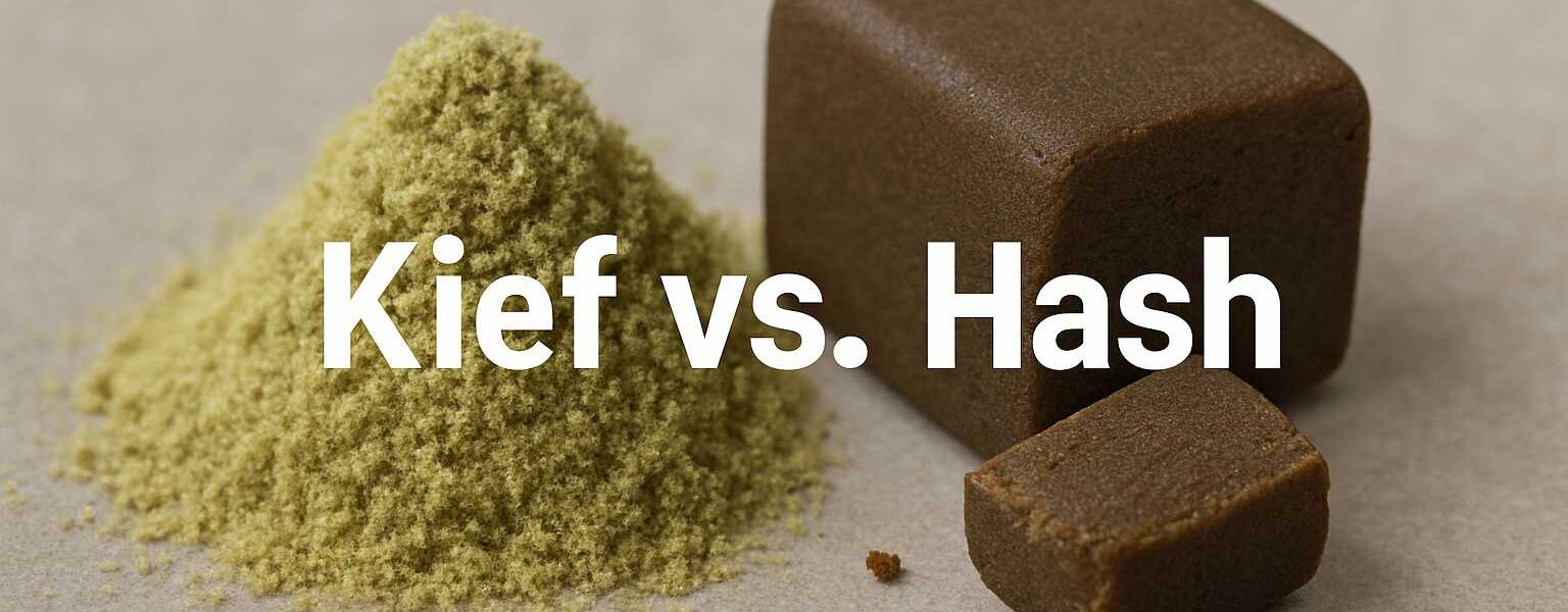 Kief vs. Hash