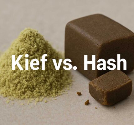 Kief vs. Hash