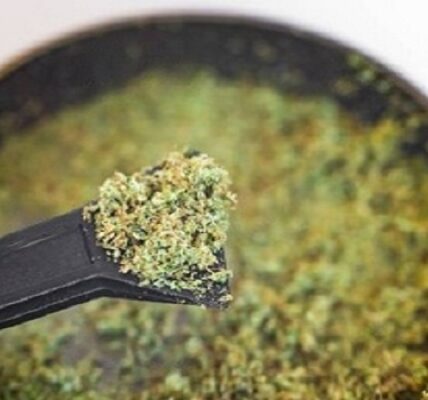 How to Collect and Store Kief the Right Way