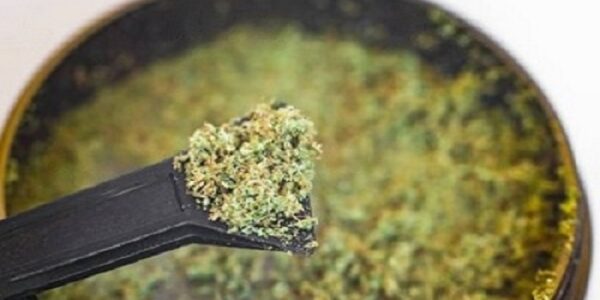 How to Collect and Store Kief the Right Way
